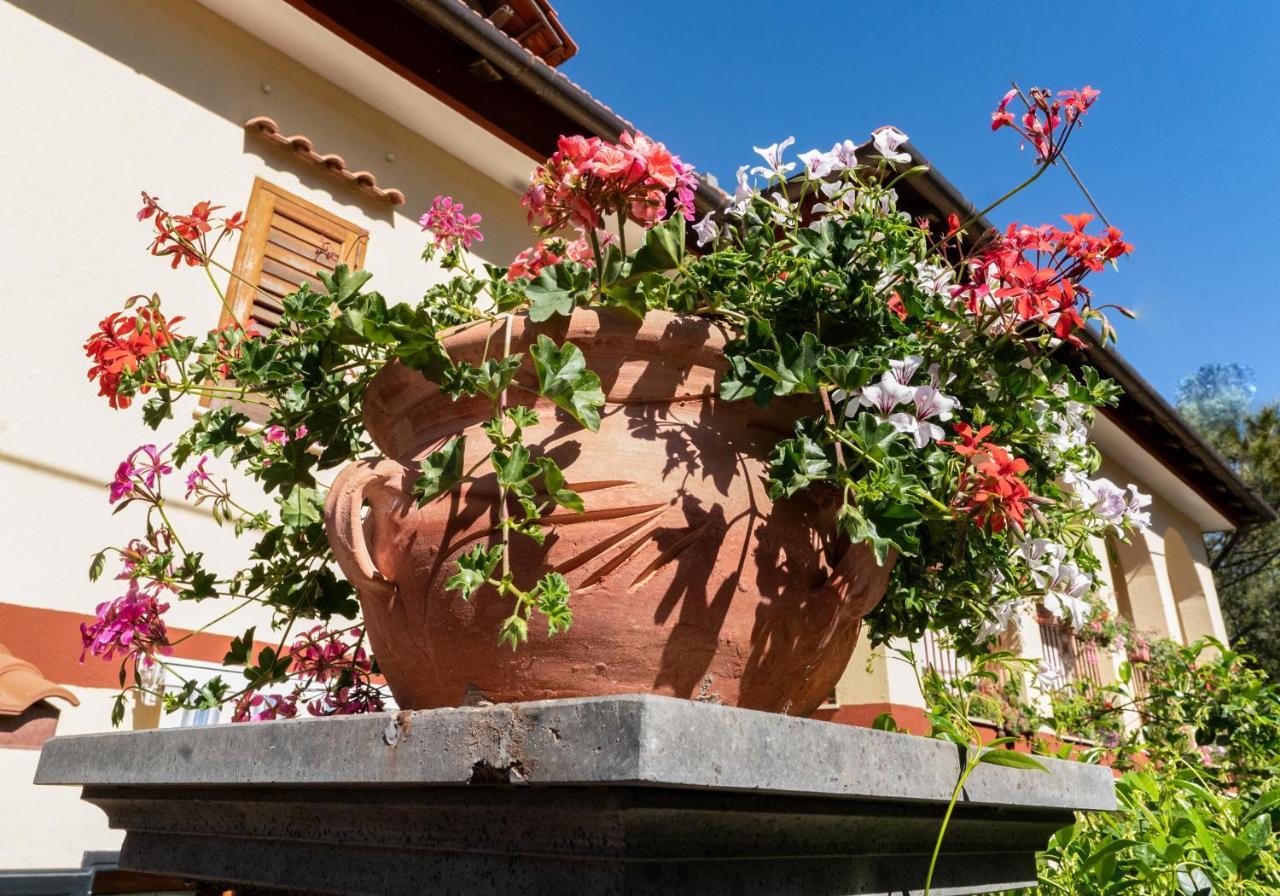 Casa Mariateresa Villa Vico Equense Buitenkant foto